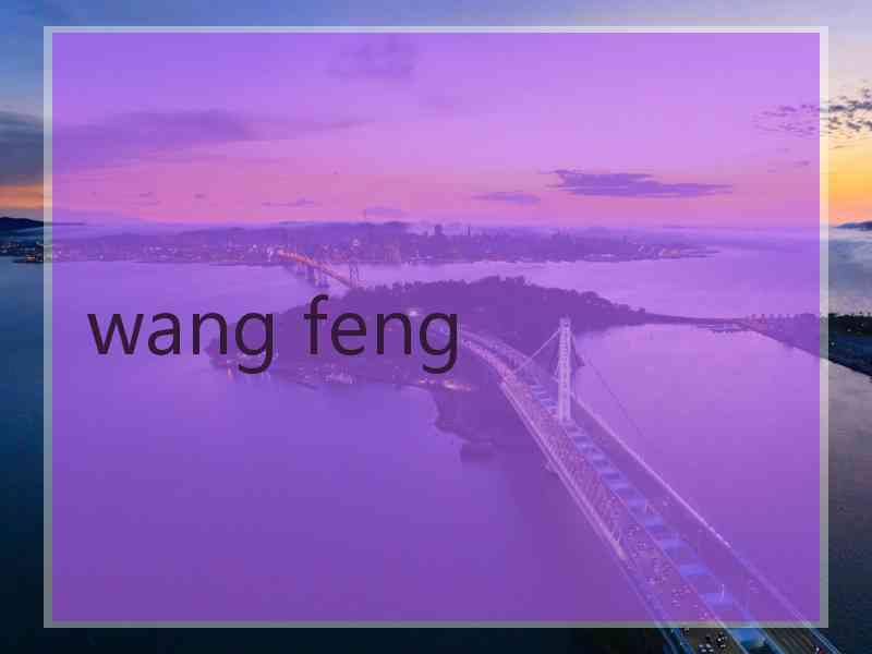 wang feng