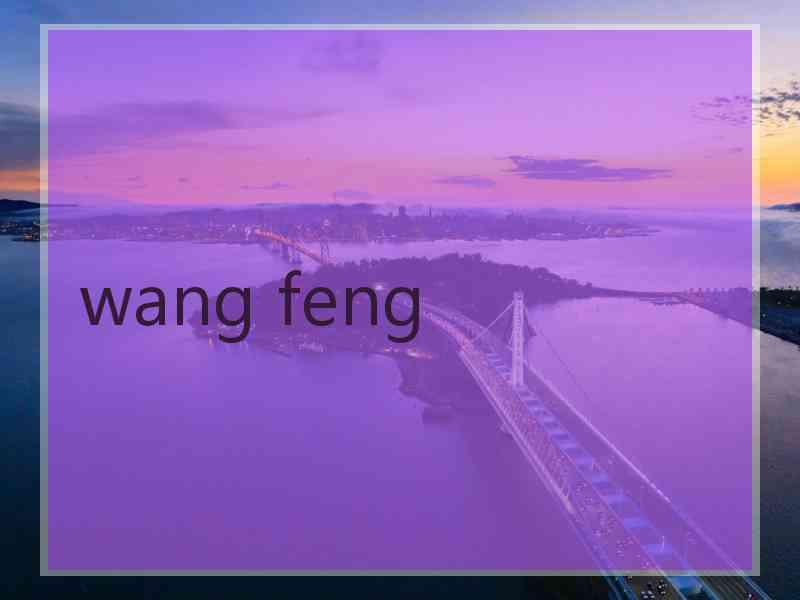 wang feng wang feng
