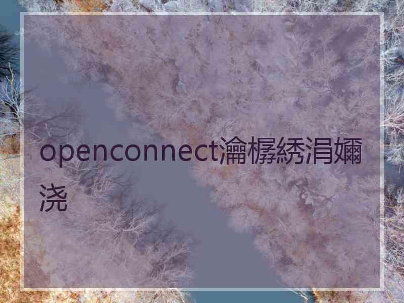 openconnect瀹樼綉涓嬭浇