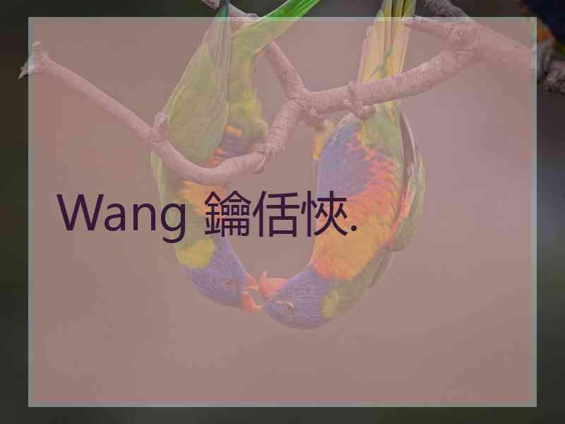 Wang 鑰佸悏. Wang 鑰佸悏.