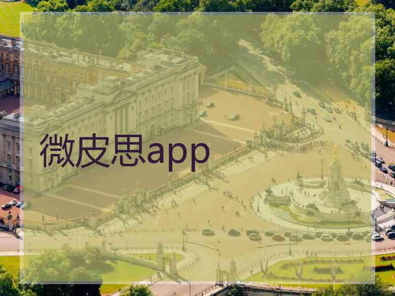 微皮思app 微皮思app