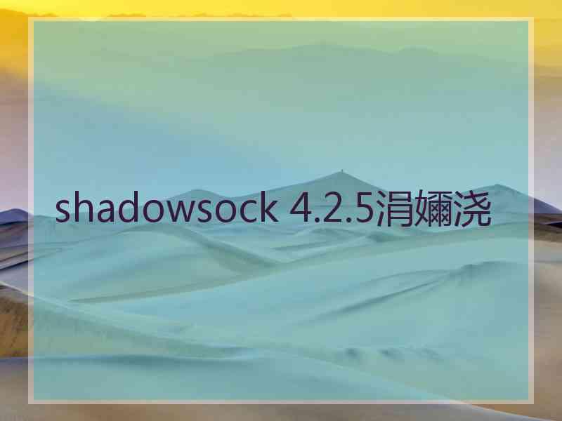 shadowsock 4.2.5涓嬭浇