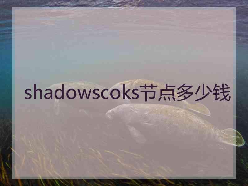 shadowscoks节点多少钱