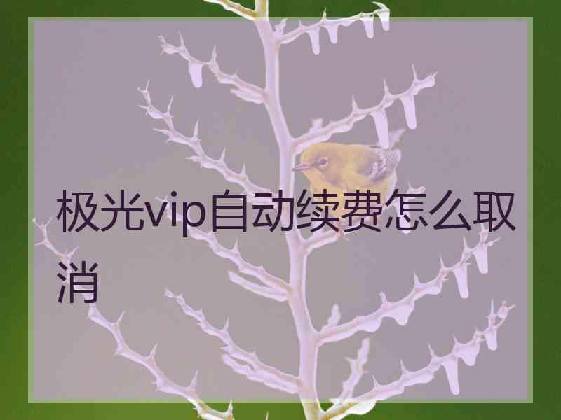 极光vip自动续费怎么取消 极光vip自动续费怎么取消