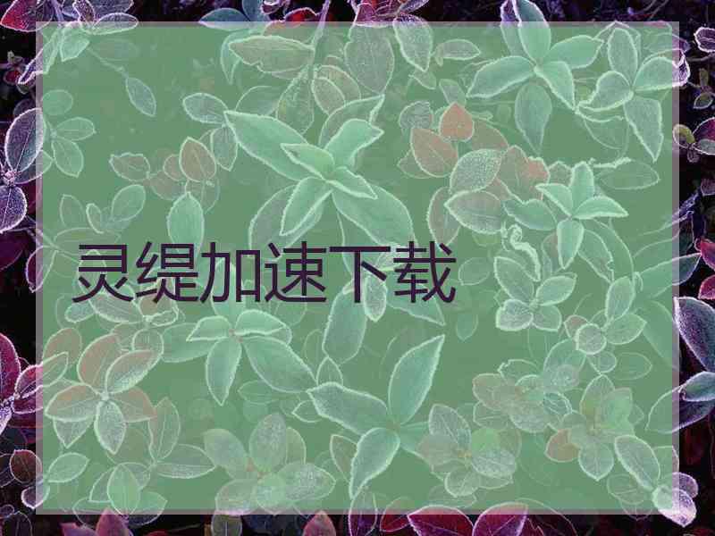 灵缇加速下载 灵缇加速下载