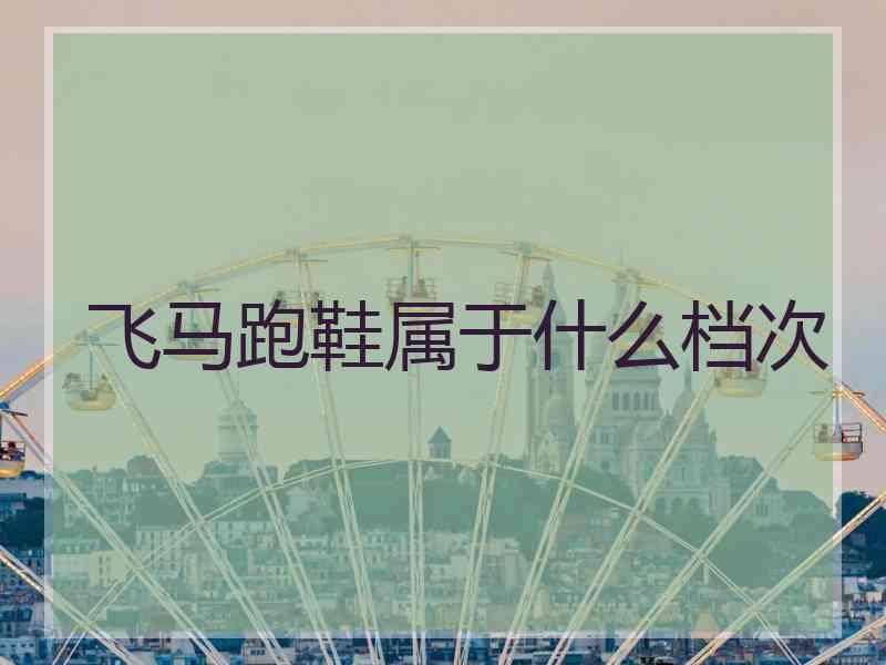 飞马跑鞋属于什么档次 飞马跑鞋属于什么档次