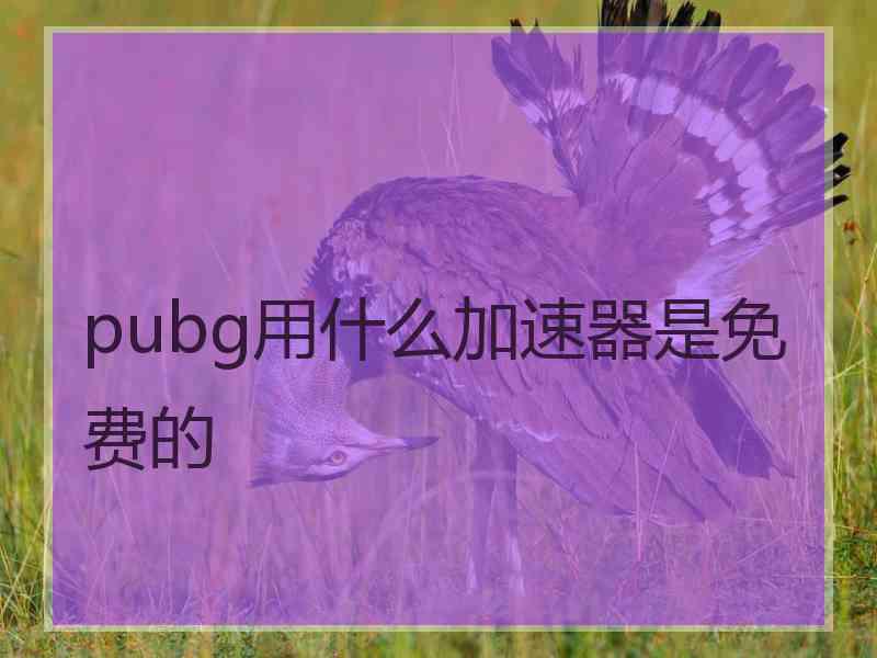 pubg用什么加速器是免费的 pubg用什么加速器是免费的