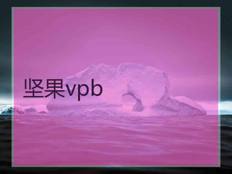 坚果vpb 坚果vpb