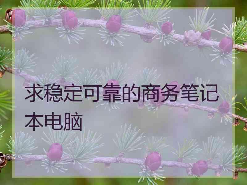 求稳定可靠的商务笔记本电脑 求稳定可靠的商务笔记本电脑