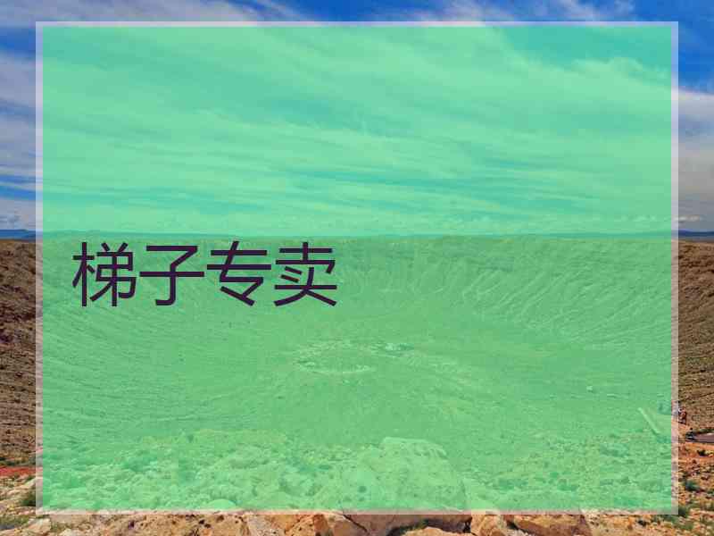 梯子专卖 梯子专卖