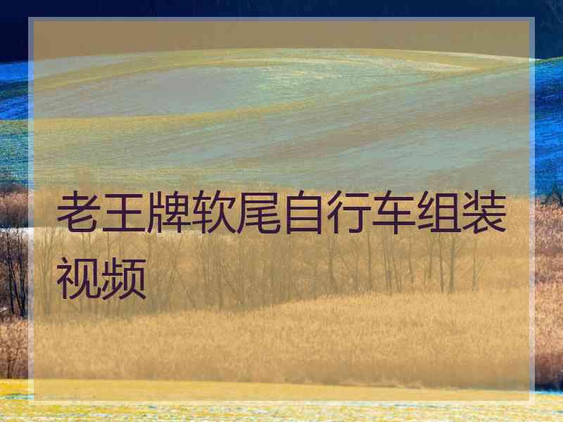 老王牌软尾自行车组装视频 老王牌软尾自行车组装视频