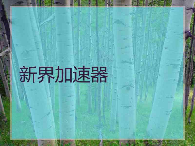 新界加速器 新界加速器
