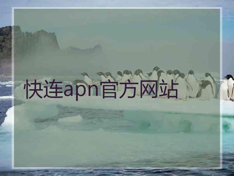 快连apn官方网站 快连apn官方网站