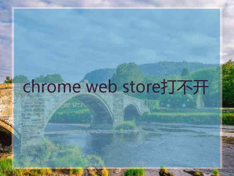 chrome web store打不开
