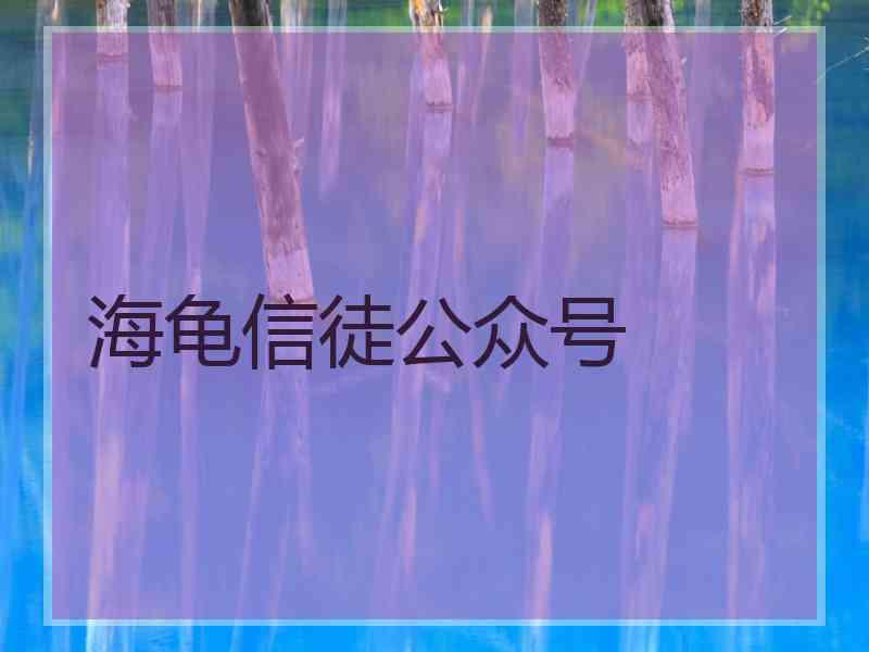 海龟信徒公众号 海龟信徒公众号