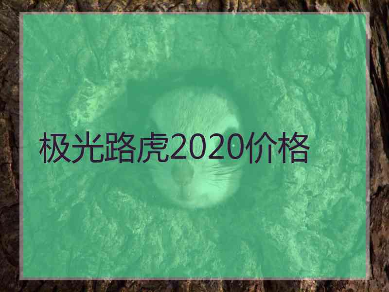极光路虎2020价格 极光路虎2020价格