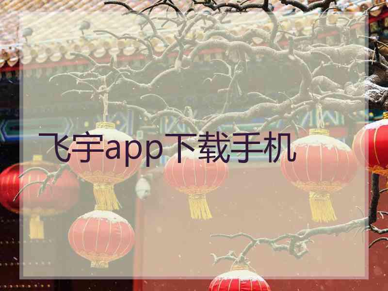 飞宇app下载手机