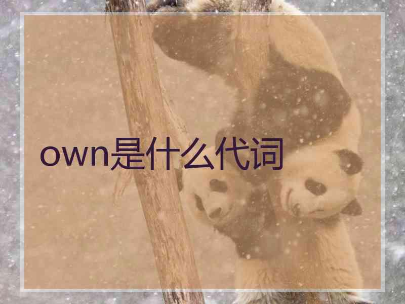own是什么代词 own是什么代词
