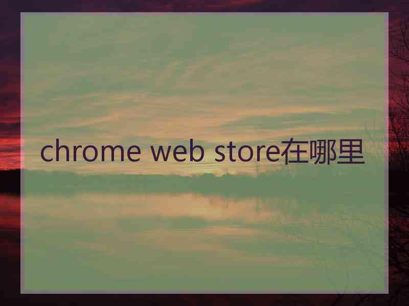 chrome web store在哪里