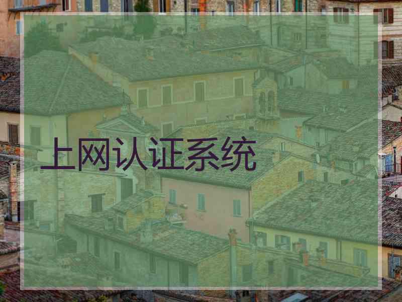 上网认证系统 上网认证系统
