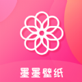 黑洞免费加速器app下载