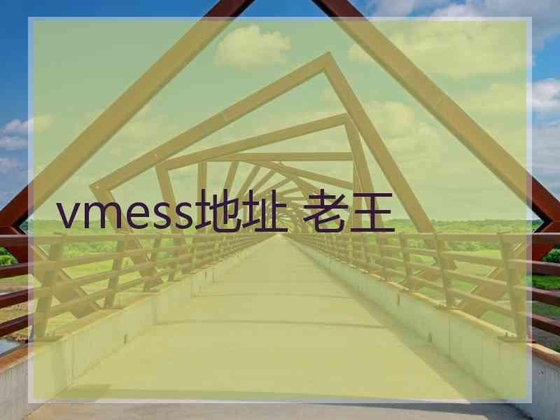 vmess地址 老王