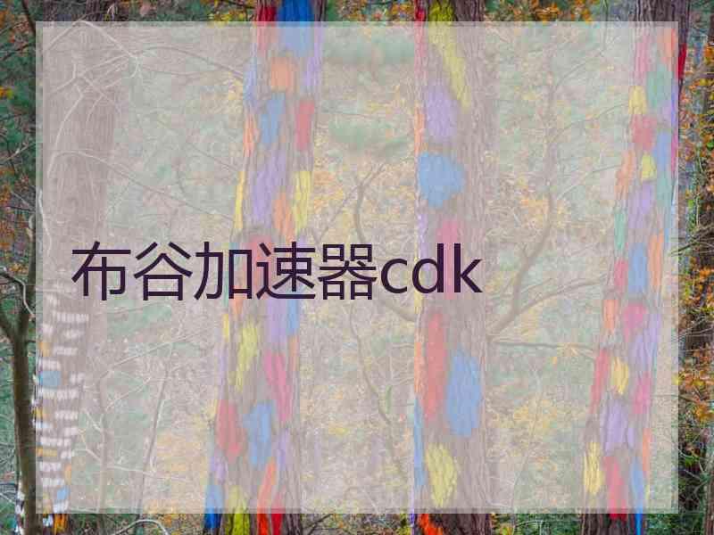 布谷加速器cdk