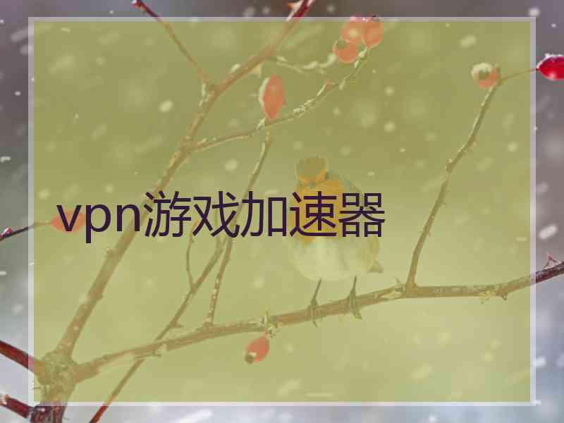 vpn游戏加速器