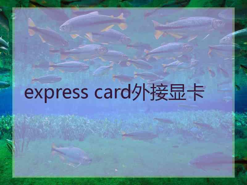 express card外接显卡
