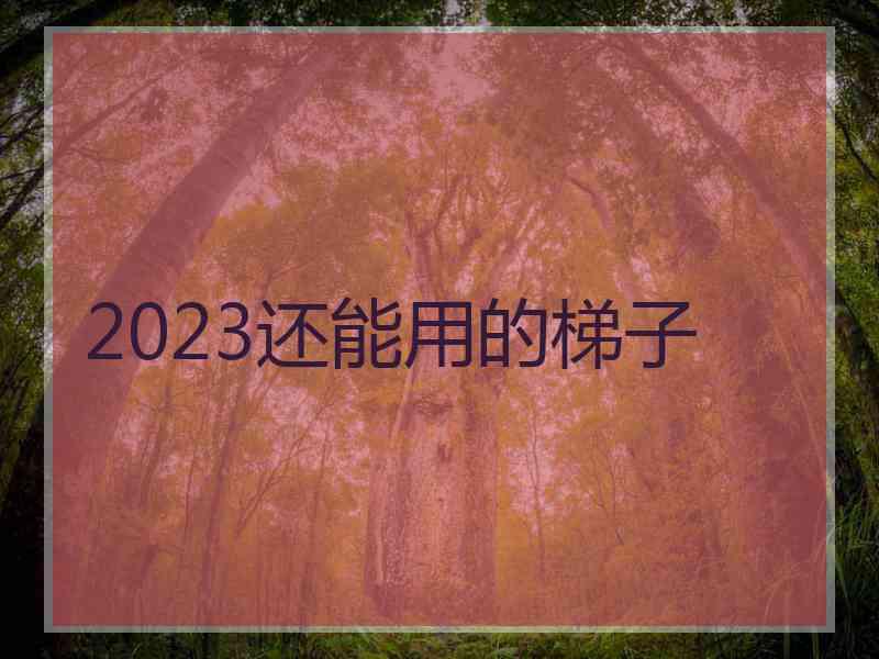 2023还能用的梯子