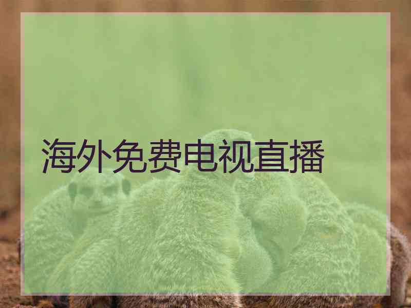 海外免费电视直播