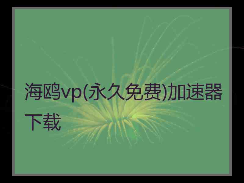 海鸥vp(永久免费)加速器下载