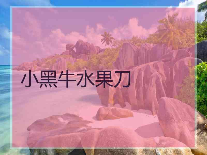 小黑牛水果刀