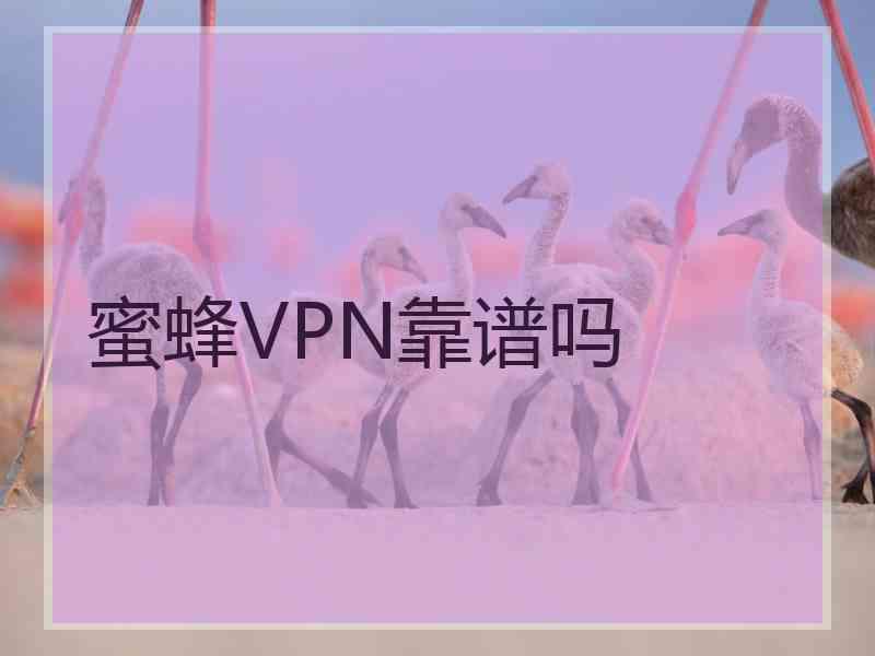 蜜蜂VPN靠谱吗