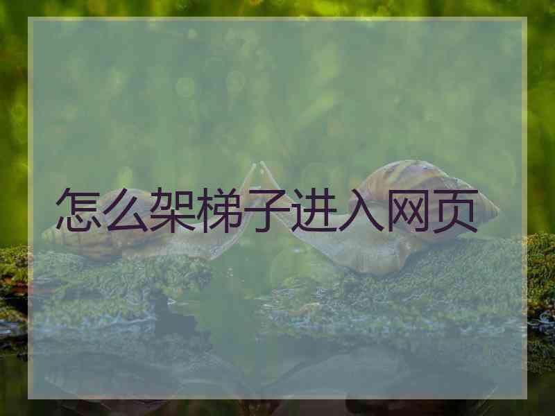 怎么架梯子进入网页