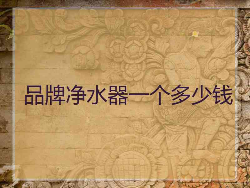 品牌净水器一个多少钱