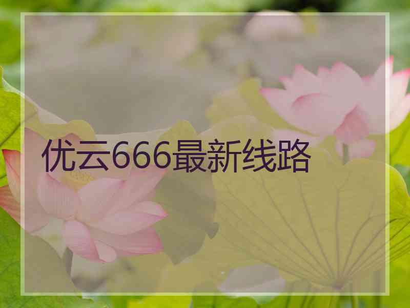 优云666最新线路