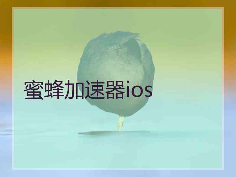 蜜蜂加速器ios