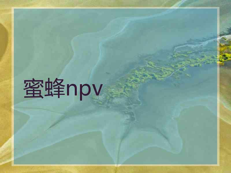 蜜蜂npv