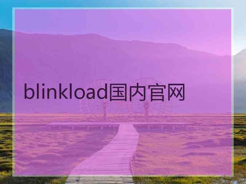 blinkload国内官网