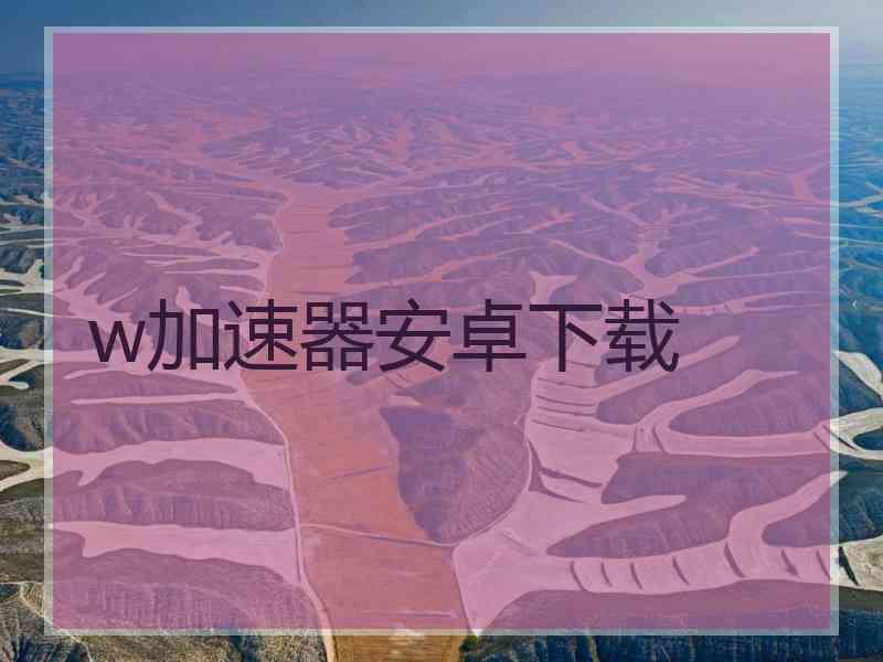 w加速器安卓下载