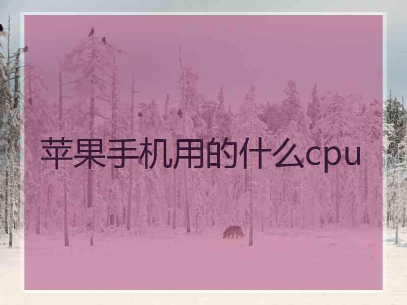 苹果手机用的什么cpu