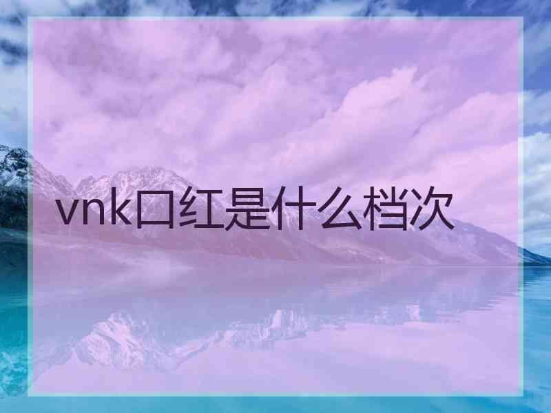vnk口红是什么档次