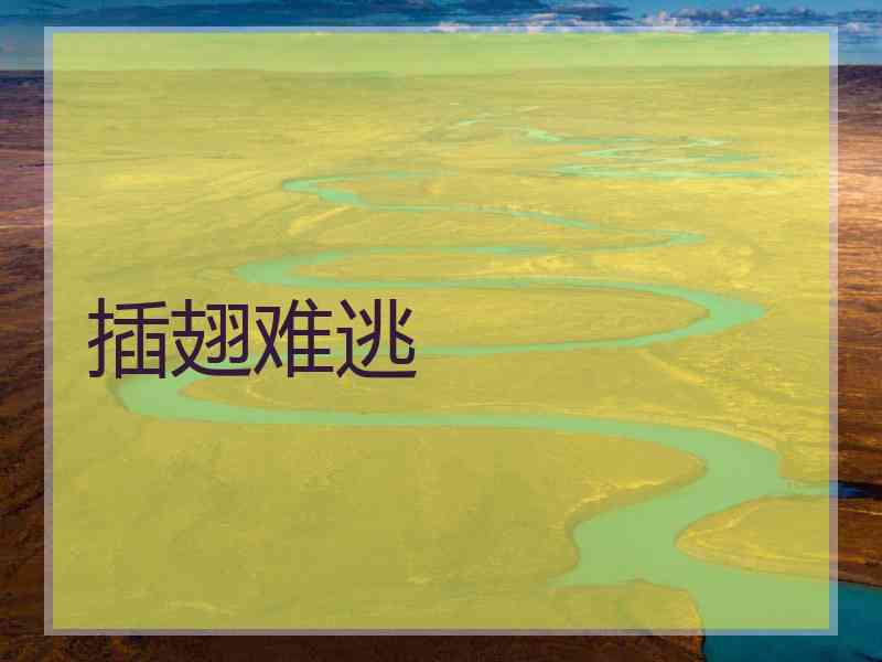插翅难逃