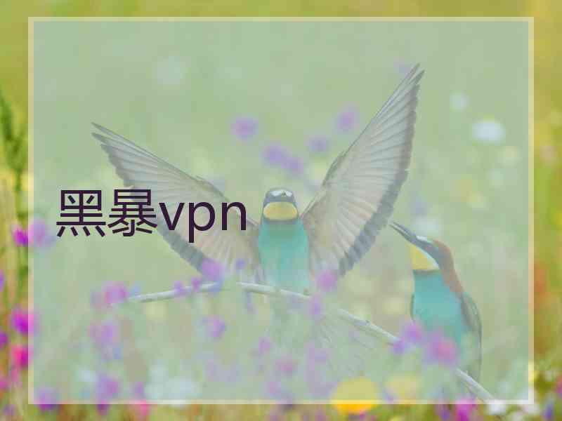 黑暴vpn