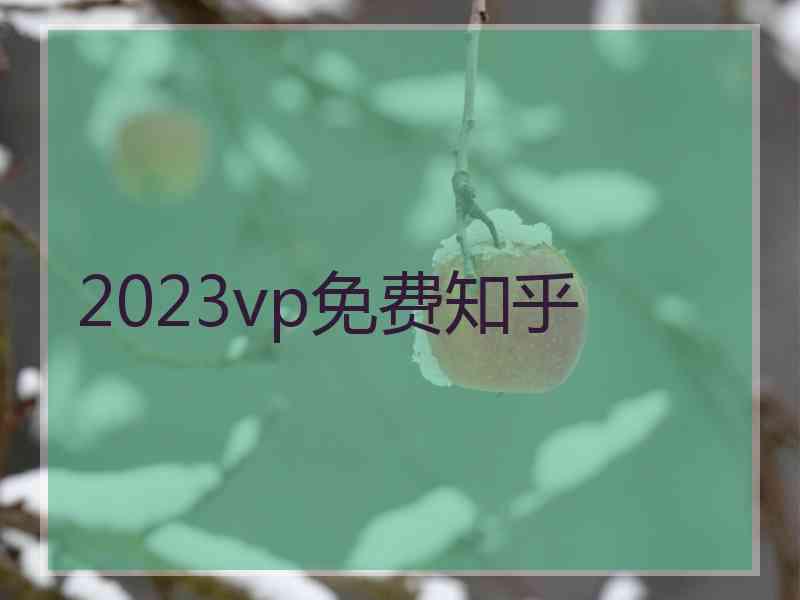 2023vp免费知乎
