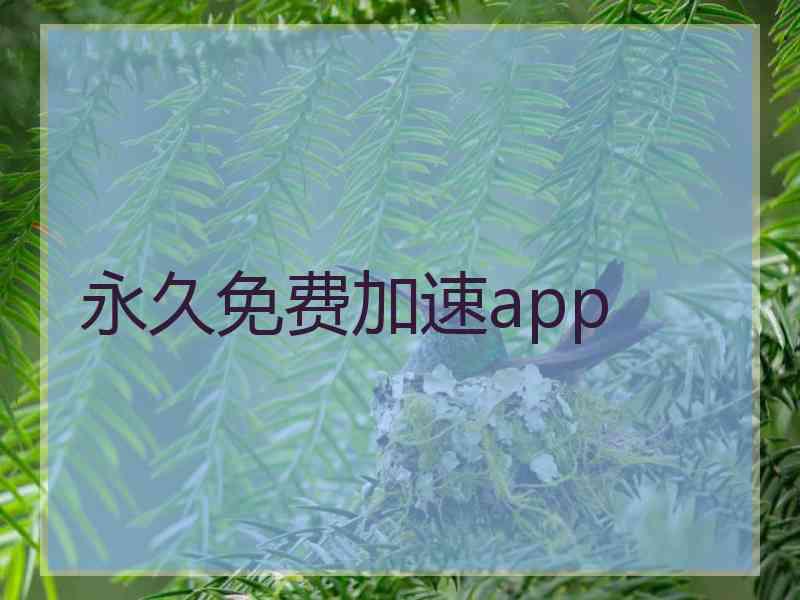 永久免费加速app