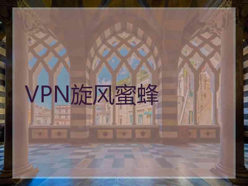 VPN旋风蜜蜂