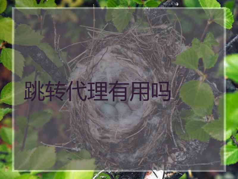跳转代理有用吗