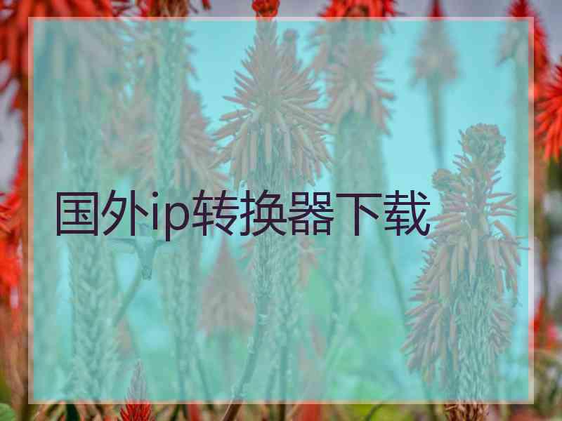 国外ip转换器下载
